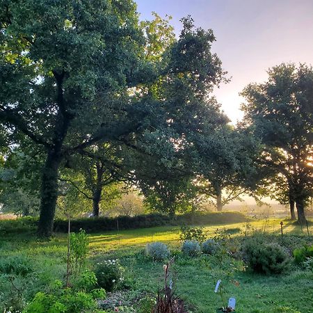 La Villauvert - Cottage Saint-Martin-sur-Oust المظهر الخارجي الصورة